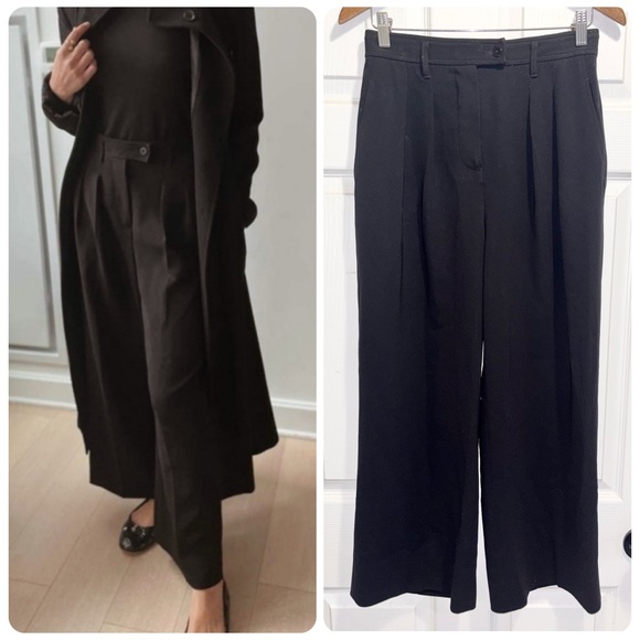 Babaton Pants - Aritzia Babaton Eckhardt Pleated Wide Leg High Waist Pants Black Trousers Size 4